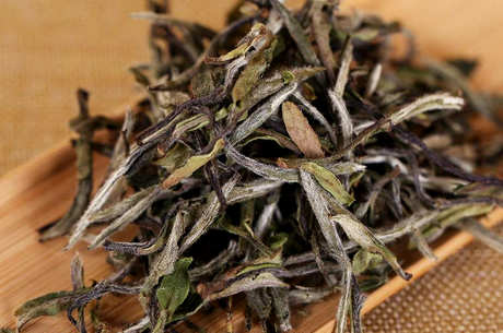 白茶时间越长越好