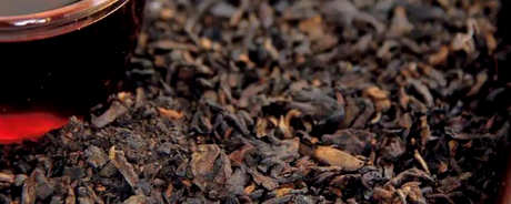什么人不适合喝普洱茶？