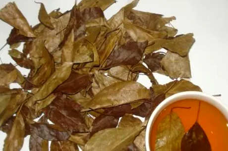 三皮罐茶能经常喝吗？