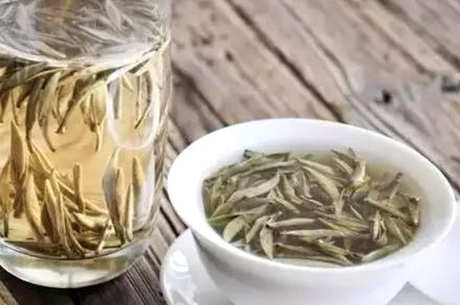 每天可以喝什么茶？