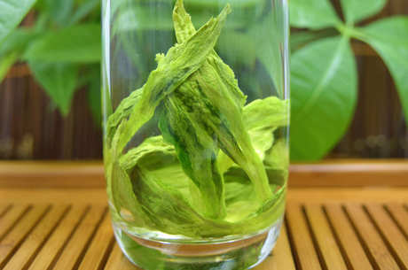 什么品种的绿茶好？