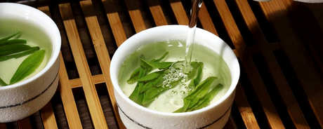 龙井茶的特产在哪里？