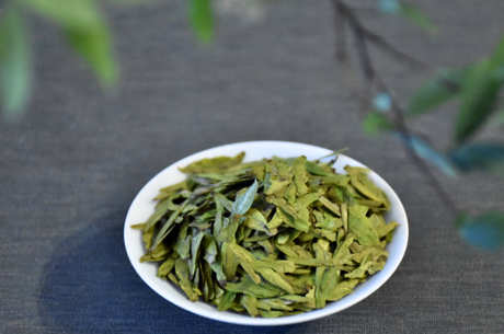 龙井茶的特产在哪里？