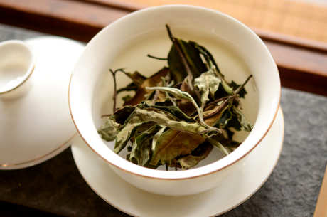 秋天喝什么茶好？