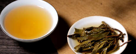 生普洱茶属于什么茶？