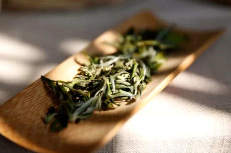 晚上可以喝茶吗？