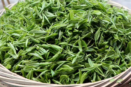 怎么做绿茶