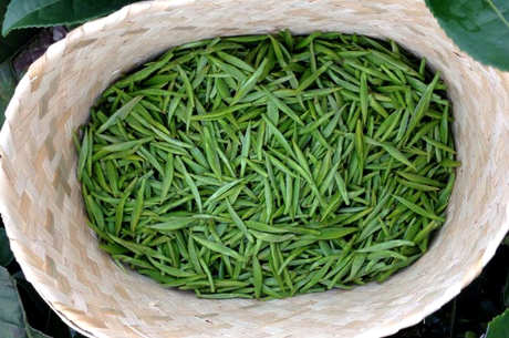 六安瓜片是绿茶吗？