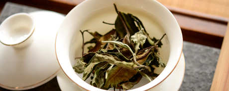 白茶属于什么茶系？