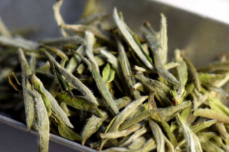 白茶属于什么茶系？