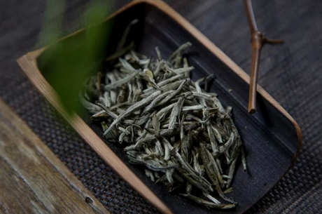 白茶属于什么茶系？