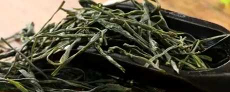 什么茶是恩施玉露？
