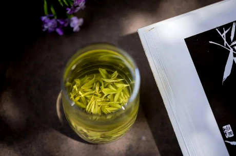 为什么黄茶这么贵？