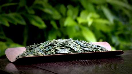 扁茶是什么茶？