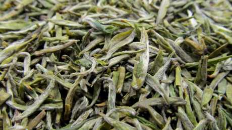 茶毫和发霉的区别