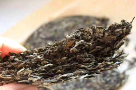 茶毫和发霉的区别