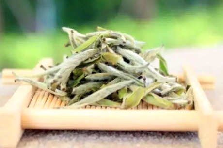 茶毫是什么茶吗？