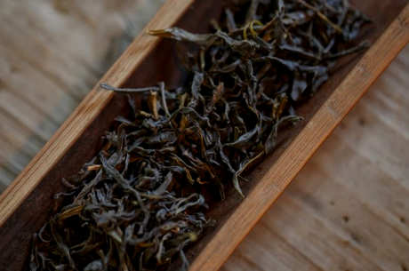 黄枝香属于什么茶？