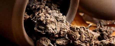 如何储存普洱茶