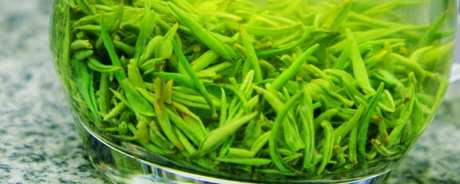 信阳毛尖是绿茶吗？