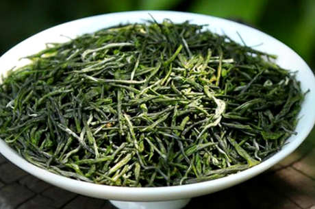 信阳毛尖是绿茶吗？