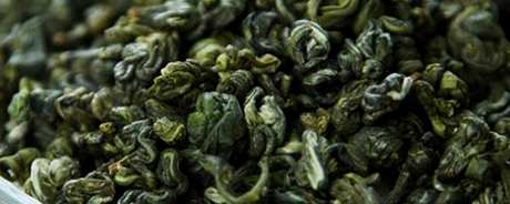 碧螺春茶怎么样？
