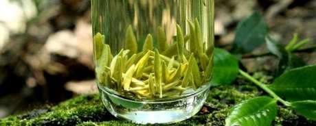 竹叶青属于什么类型的茶？
