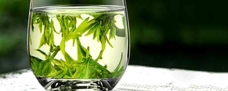 浙江绿茶有哪些品种？
