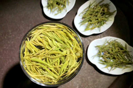 浙江绿茶有哪些品种？