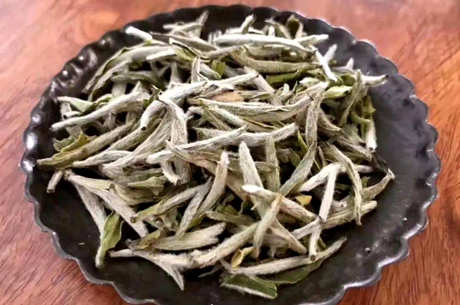 白茶属于什么茶种？