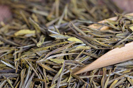 白茶属于什么茶种？