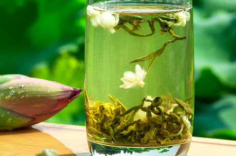 茉莉属于什么茶？