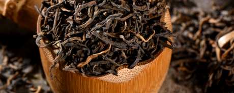 普洱茶是什么类型的茶？