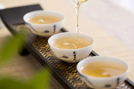 白茶的制作工艺