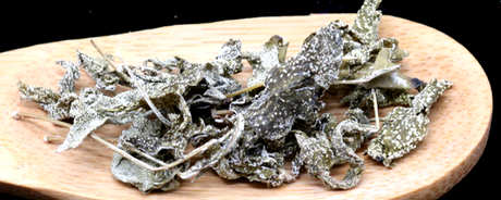 谁不能喝溪黄茶？