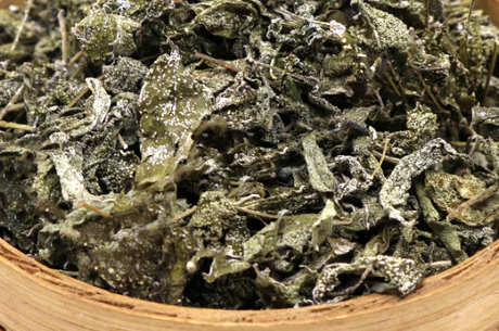 谁不能喝溪黄茶？