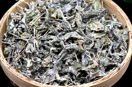 谁不能喝溪黄茶？