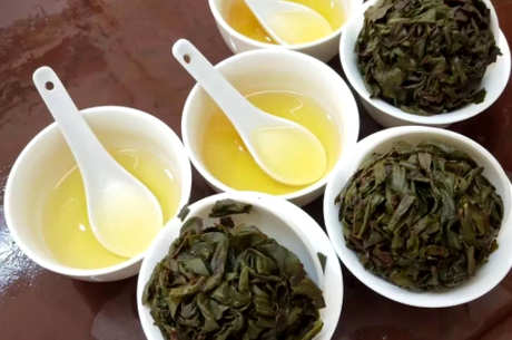 发酵茶是什么茶？