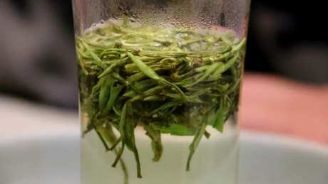 什么茶是云南雪芽？