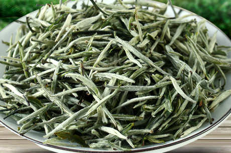 什么茶是云南雪芽？