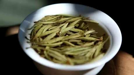 白毫是白茶吗？