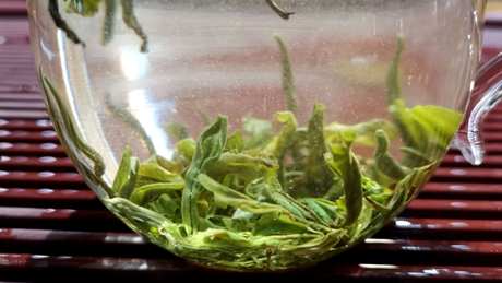 绿茶白毫可喝吗？