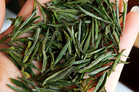 什么茶属于芽茶？