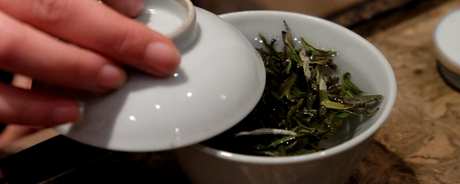 白茶属于绿茶还是红茶