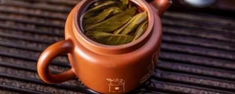 普耳茶是红茶还是绿茶？