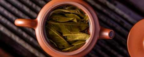 泡普洱茶多久？