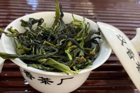什么是单丛茶？