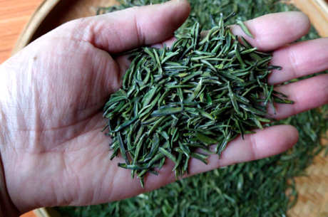 湄潭翠芽是什么茶？