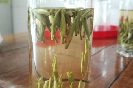湄潭翠芽的特点是什么？