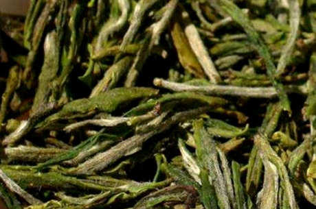 黄茶的种类